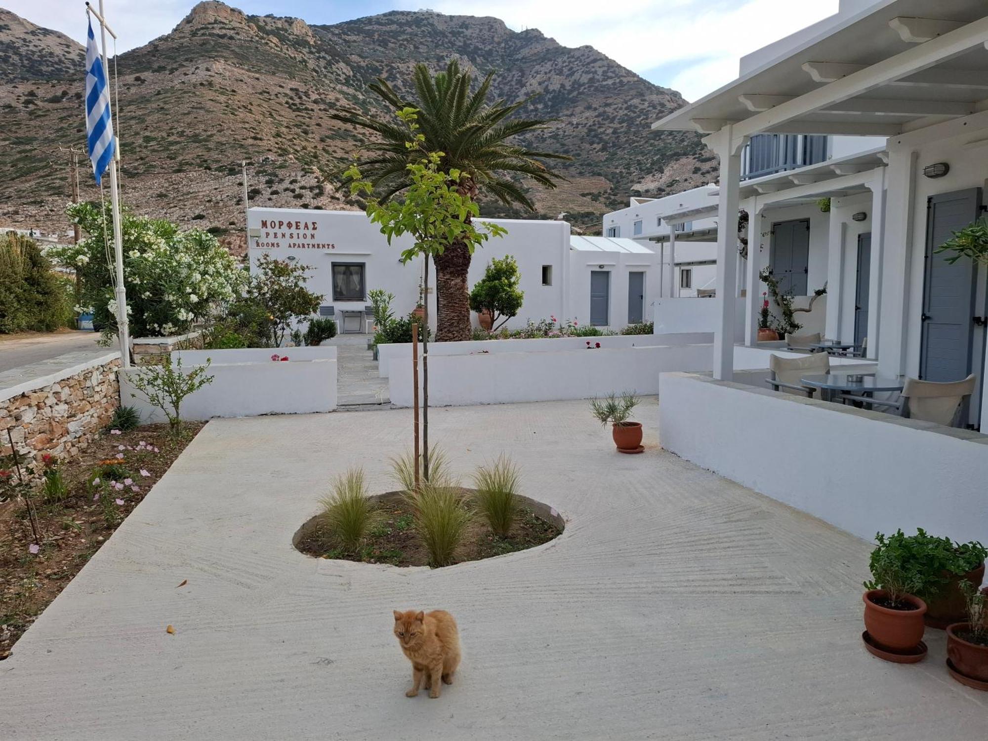 Morpheas Pension Rooms & Apartments Kamares  Exterior photo